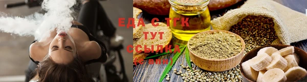 МДПВ Бородино