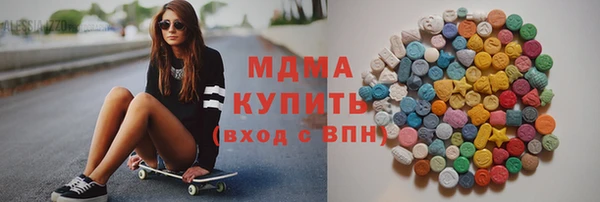 МДПВ Бородино