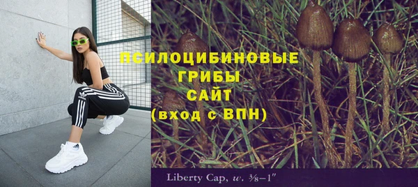 ешки Бугульма