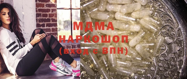 МДПВ Бородино
