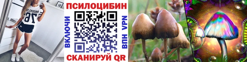 Галлюциногенные грибы MAGIC MUSHROOMS  Гулькевичи 